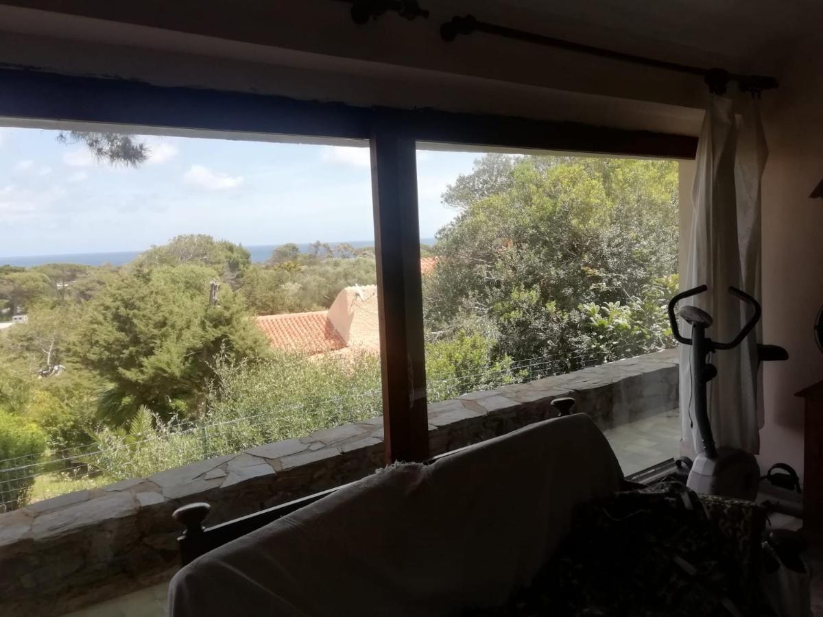 Bed and Breakfast Sa Domo De Afra Стинтино Экстерьер фото