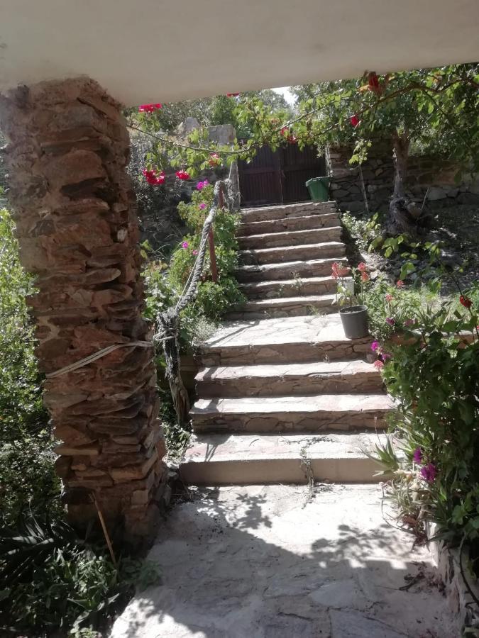 Bed and Breakfast Sa Domo De Afra Стинтино Экстерьер фото