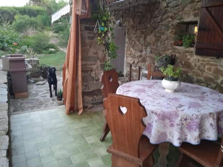 Bed and Breakfast Sa Domo De Afra Стинтино Экстерьер фото